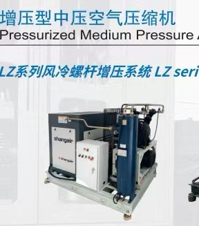 40Bar 螺杆式增压机 -定制服务